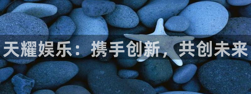 万向娱乐：天耀娱乐：携手创新，共创未来