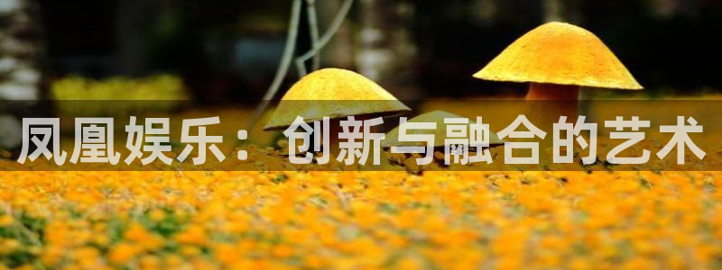 万向娱乐app：凤凰娱乐：创新与融合的艺术