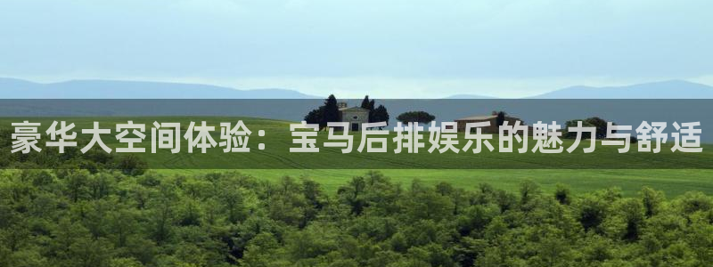 万向娱乐：豪华大空间体验：宝马后排娱乐的魅力与舒适