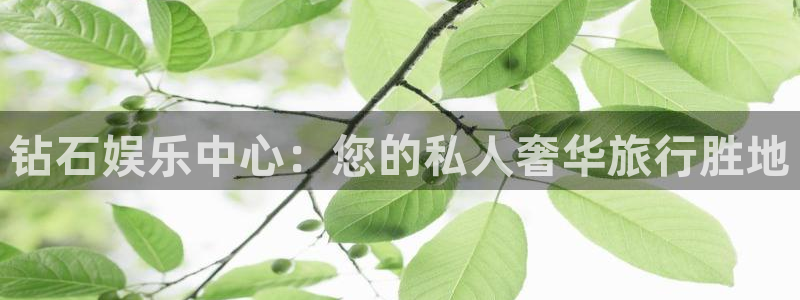 万向娱乐app：钻石娱乐中心：您的私人奢华旅行胜地