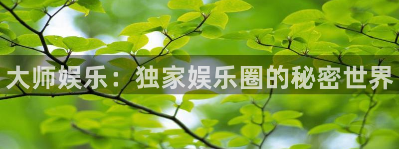 万向娱乐：大师娱乐：独家娱乐圈的秘密世界