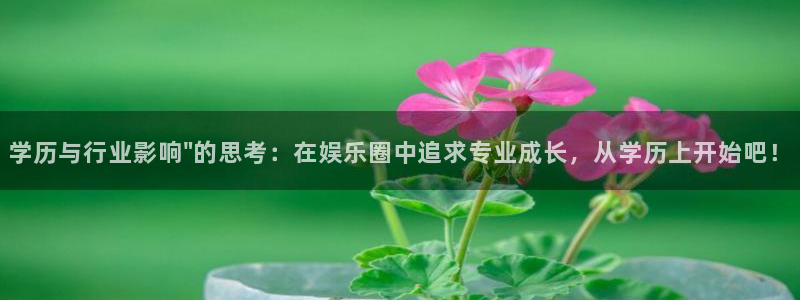 万向娱乐注册：学历与行业影响\