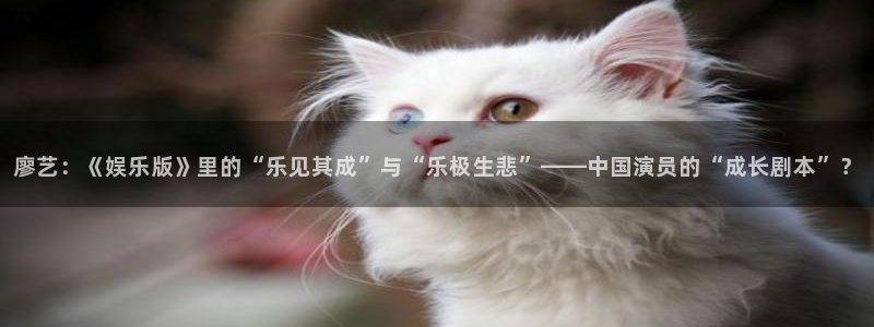 万向娱乐：廖艺：《娱乐版》里的“乐见其成”与“乐极生悲”——中国演员的“成长剧本”？