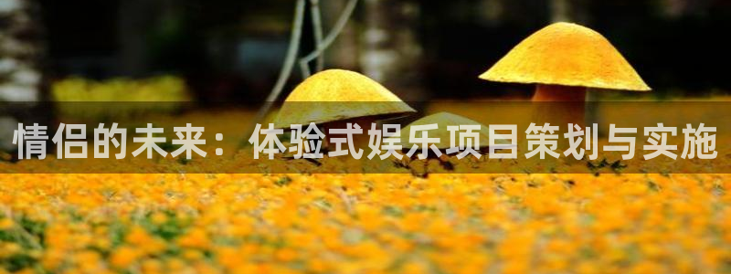 万向娱乐注册登录：情侣的未来：体验式娱乐项目策划与实施