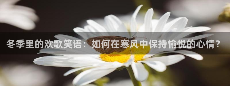 万向娱乐：冬季里的欢歌笑语：如何在寒风中保持愉悦的心情？