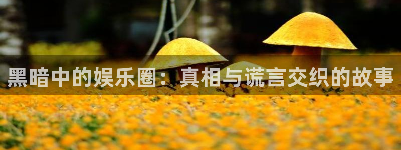万向娱乐注册登录：黑暗中的娱乐圈：真相与谎言交织的故事