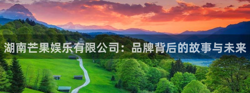 万向娱乐注册登录：湖南芒果娱乐有限公司：品牌背后的故事与未来